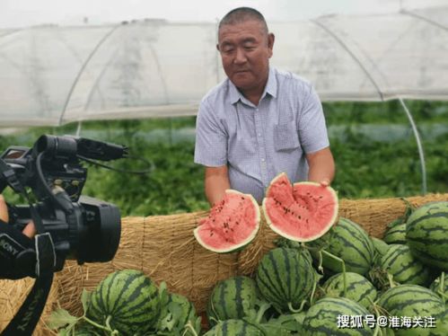 江苏徐州农副产品中心批发市场助兴乡村经济有实招